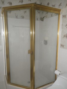 East Boca Master Bathroom Shower Before